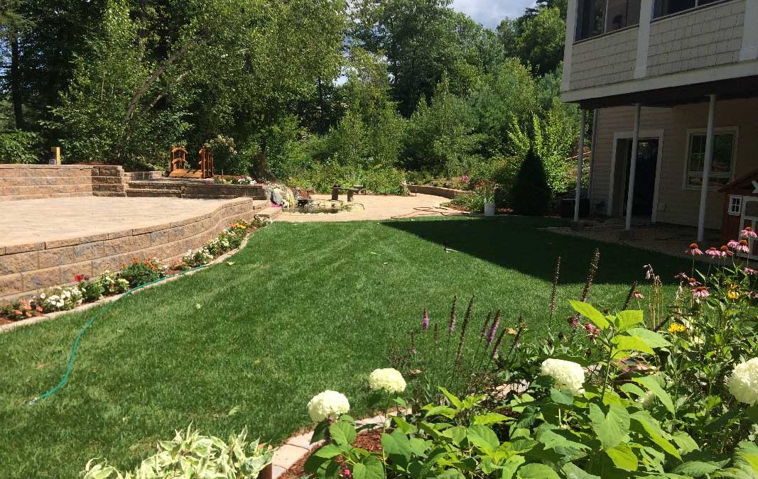 Complete Yard Renovation